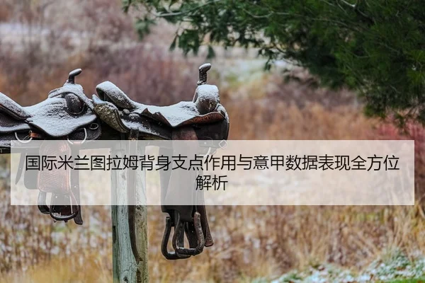 国际米兰图拉姆背身支点作用与意甲数据表现全方位解析