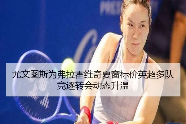 尤文图斯为弗拉霍维奇夏窗标价英超多队竞逐转会动态升温